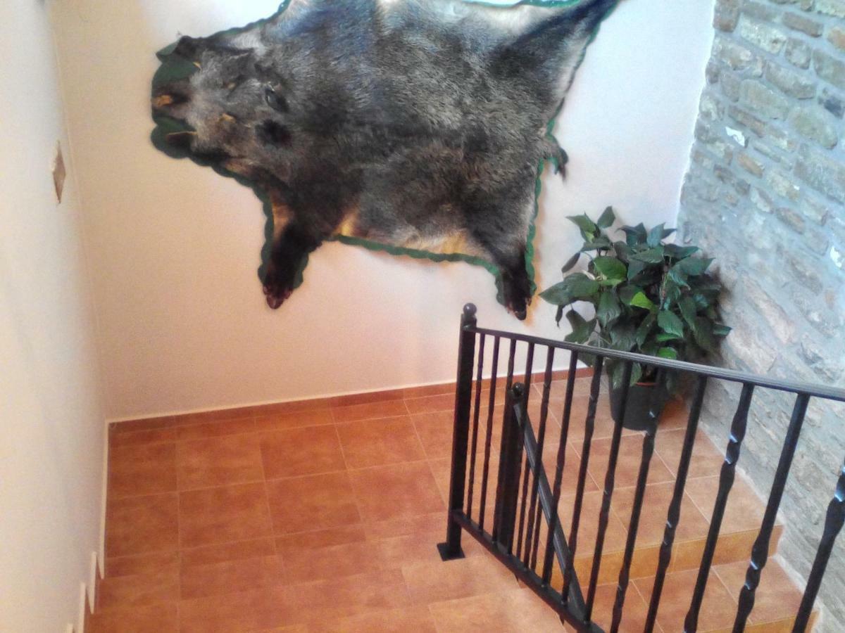 Jazmin Apartman Tihany Bagian luar foto